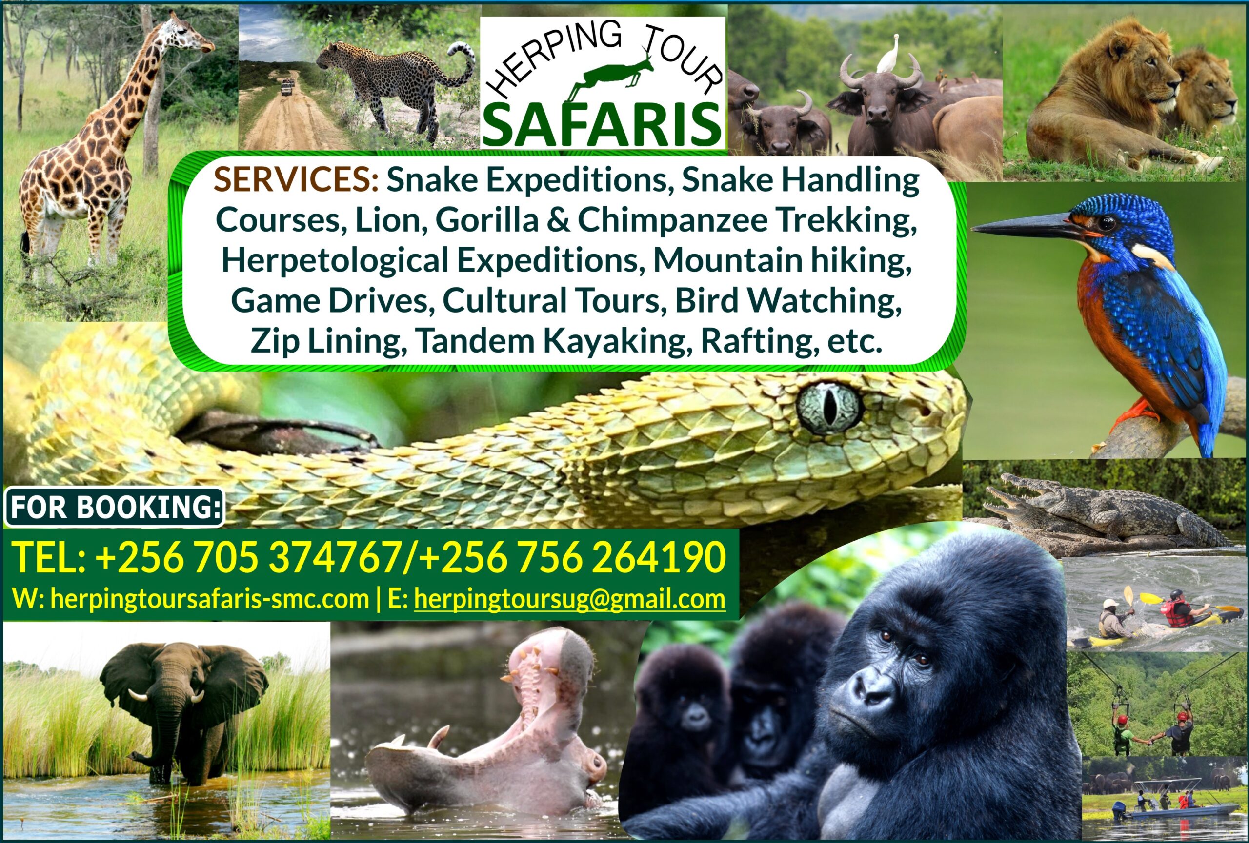 Herping Tours Services